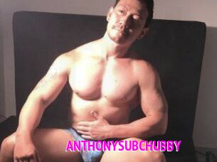 ANTHONYSUBCHUBBY