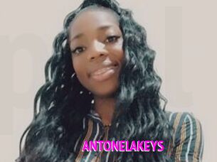 ANTONELAKEYS