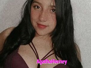 AgathaHorney