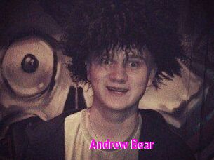 Andrew_Bear