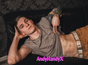 AndyHandyX