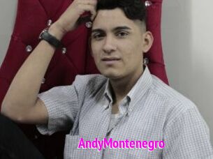 AndyMontenegro