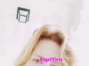 AngelView