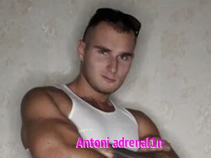 Antoni_adrenal1n