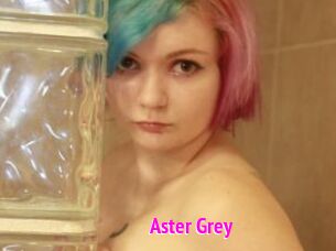 Aster_Grey