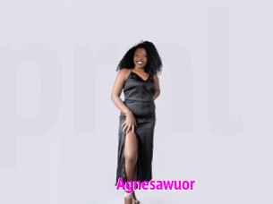 Agnesawuor