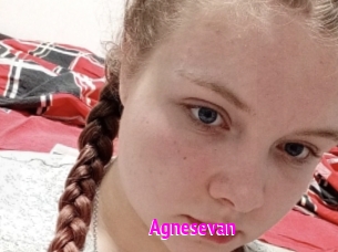 Agnesevan