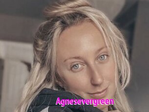 Agnesevergreen