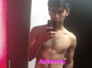 Alejburning