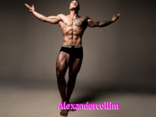 Alexandercollim