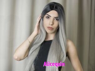 Alicequin