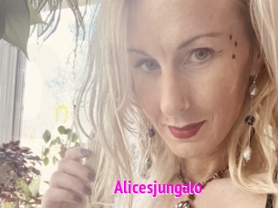 Alicesjungalo