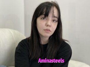 Aminasteels