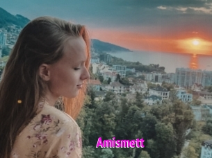 Amismett