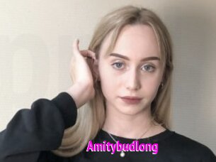 Amitybudlong