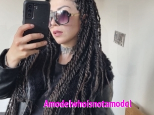 Amodelwhoisnotamodel