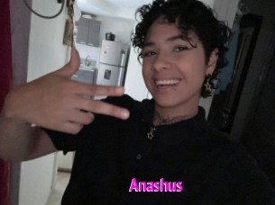 Anashus