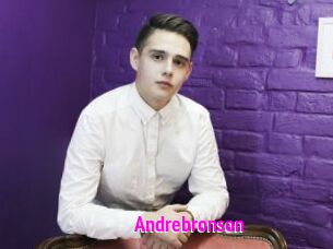 Andrebronson