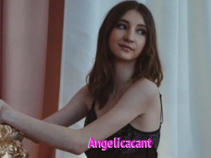 Angelicacant