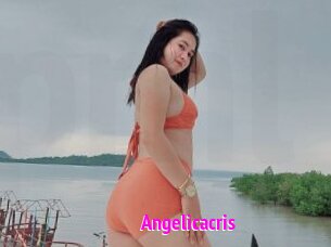 Angelicacris