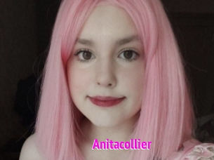 Anitacollier