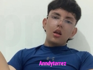 Anndytorrez