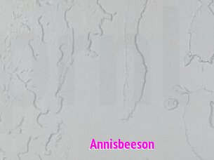 Annisbeeson