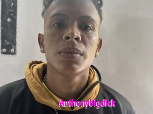 Anthonybigdick