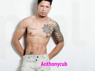 Anthonycub