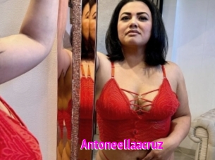 Antoneellaacruz