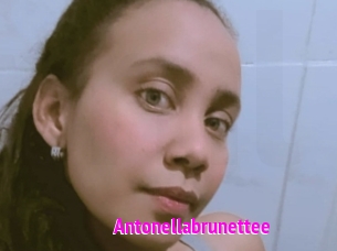 Antonellabrunettee