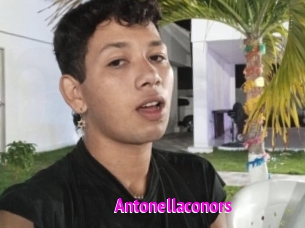 Antonellaconors