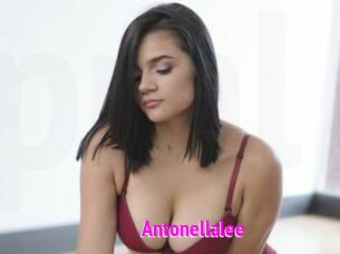 Antonellalee