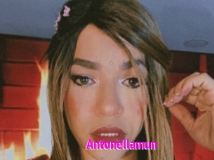 Antonellamun