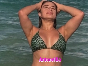 Antonellla