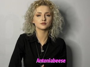 Antoniabeese