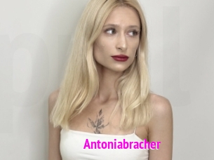 Antoniabracher