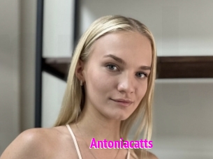 Antoniacatts