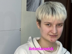 Antoniacowick