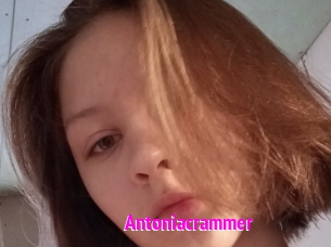 Antoniacrammer