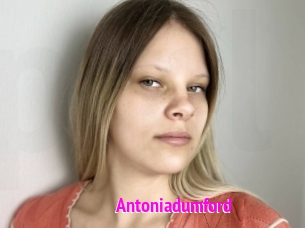 Antoniadumford