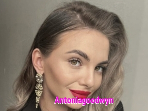 Antoniagoodwyn