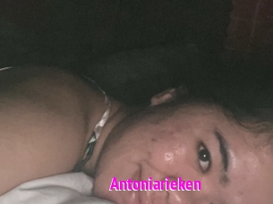 Antoniarieken