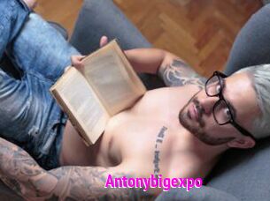 Antonybigexpo