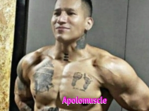 Apolomuscle