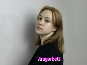 Aragorbett