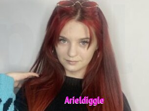 Arieldiggle