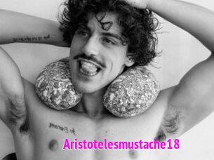 Aristotelesmustache18