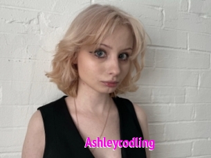 Ashleycodling