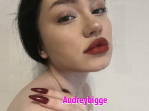 Audreybigge